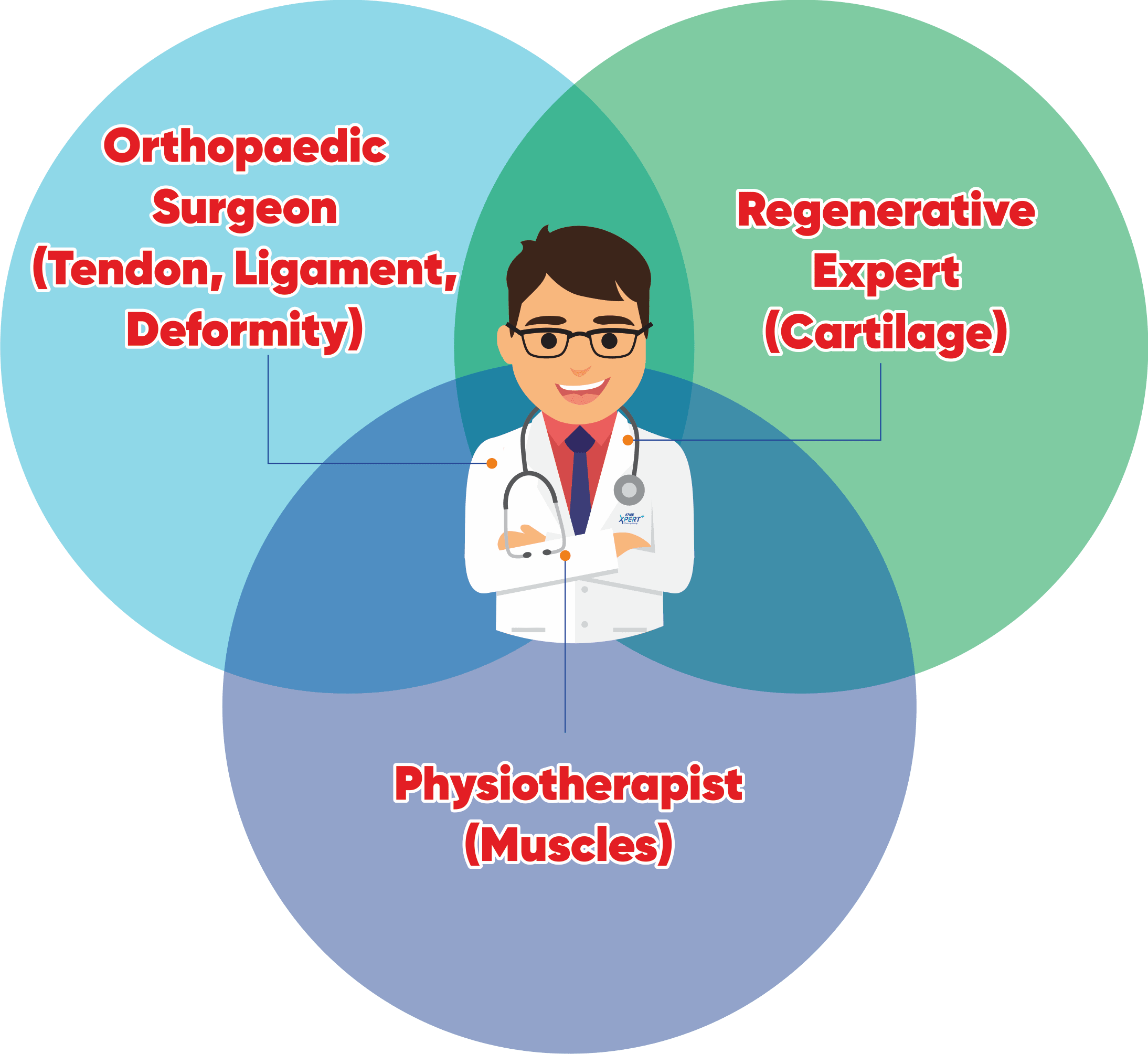 customised triple integration protocol